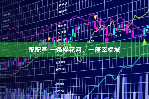 配配查 一条樱花河，一座幸福城