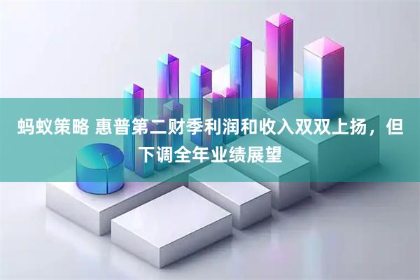 蚂蚁策略 惠普第二财季利润和收入双双上扬，但下调全年业绩展望